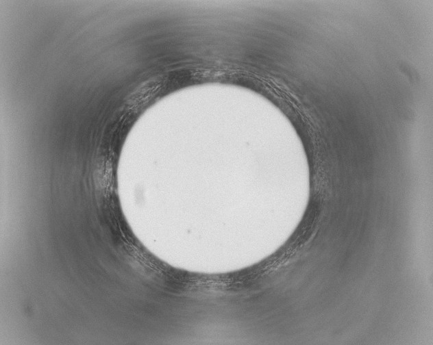 X0000116050820200912181250
