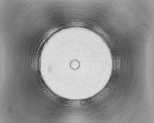 X0000116050828200912181250