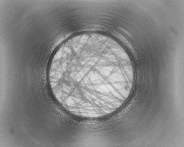 X0000116050834200912181250