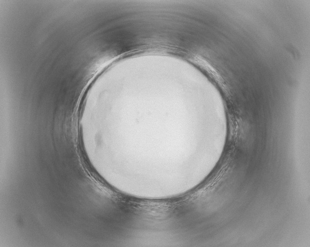 X0000116050836200912181250