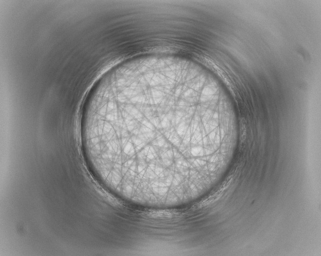 X0000116050843200912181250