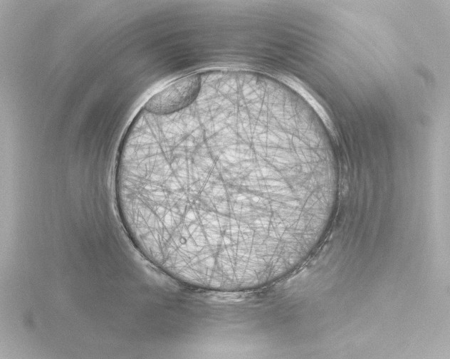 X0000116050861200912181250