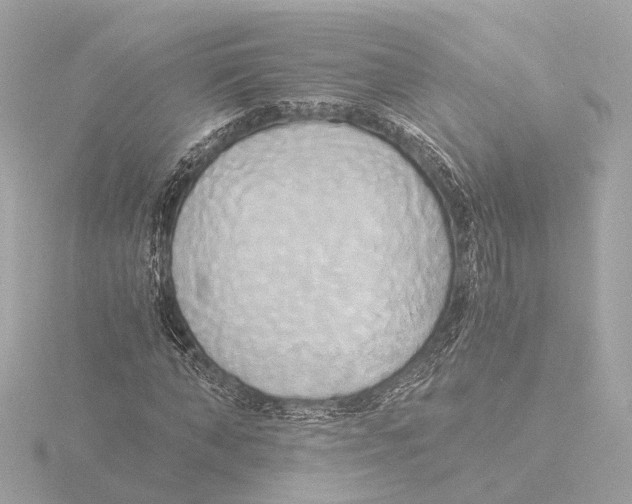 X0000116050870200912181249