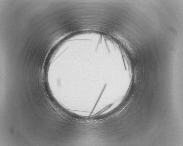 X0000116050876200912181249