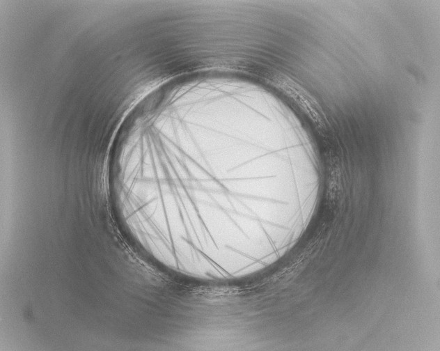 X0000116050884200912181249