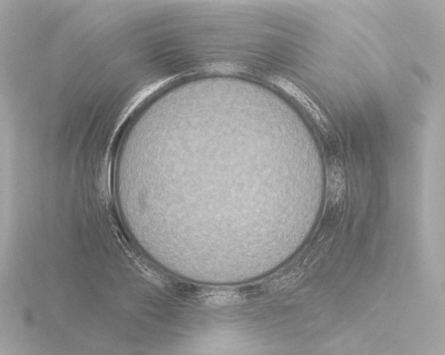X0000116050886200912181249