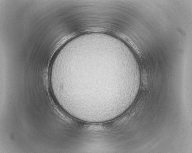 X0000116050890200912181249