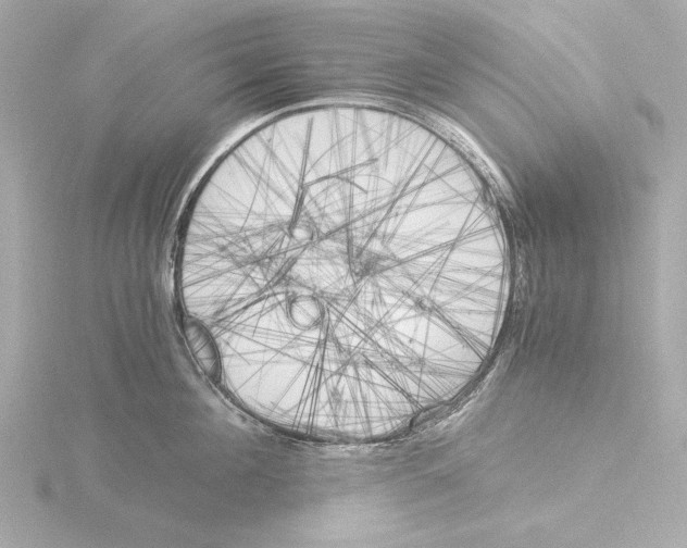 X0000116050908200912181249