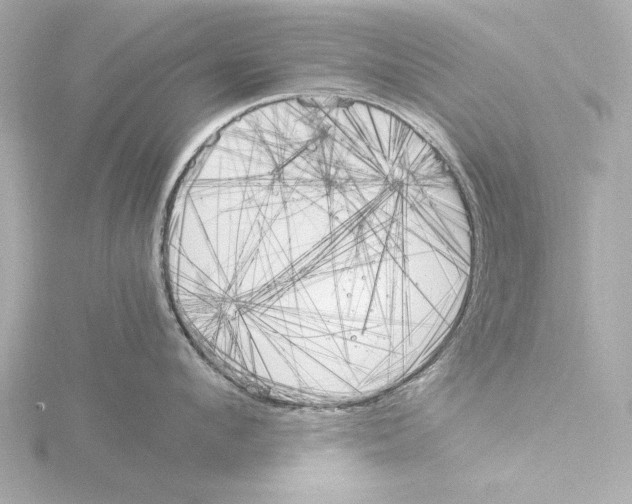 X0000116050912200912181249