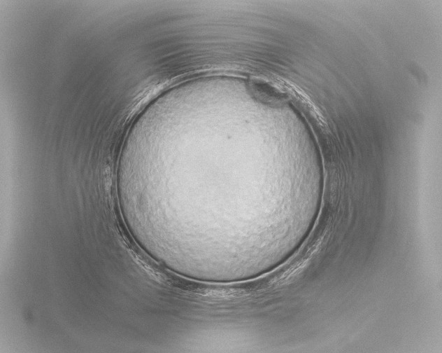 X0000116050985200912181248