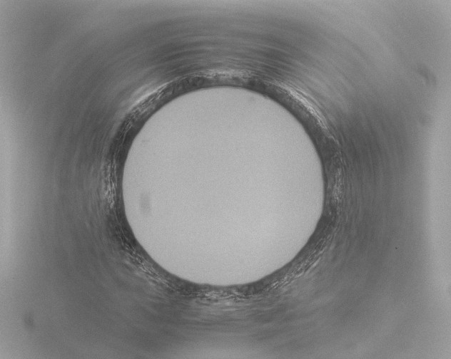X0000116051015200912181247
