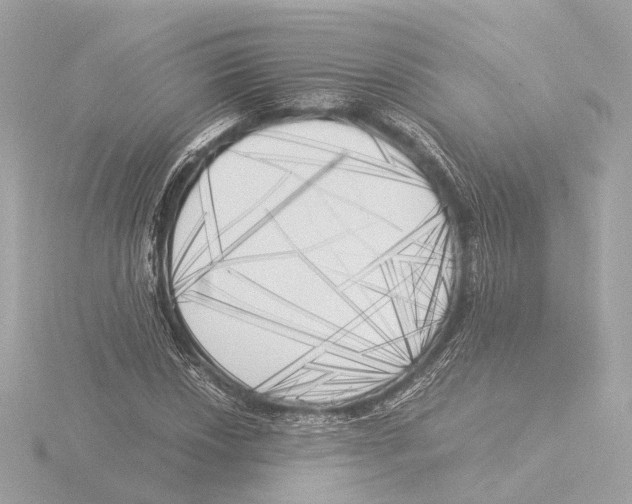 X0000116051018200912181247