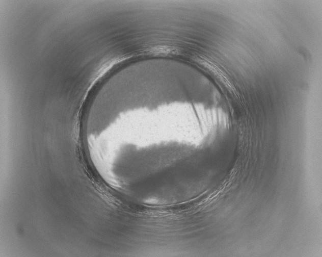 X0000116051023200912181247