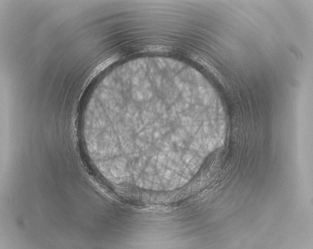 X0000116051026200912181247