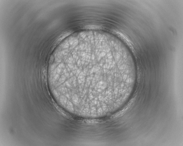 X0000116051041200912181247