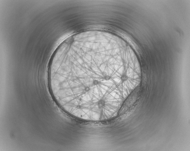 X0000116051050200912181247