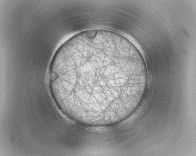 X0000116051053200912181247