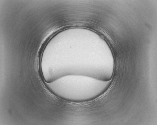 X0000116051075200912181246