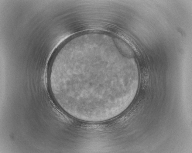 X0000116051076200912181246