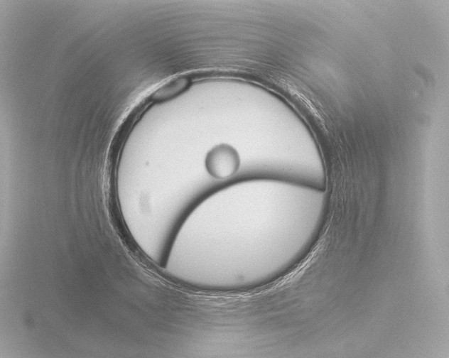 X0000116051077200912181246