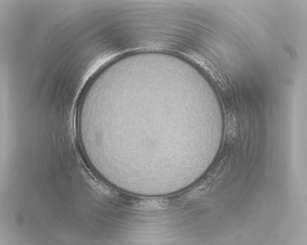 X0000116051078200912181246