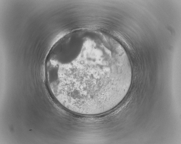 X0000116051079200912181246