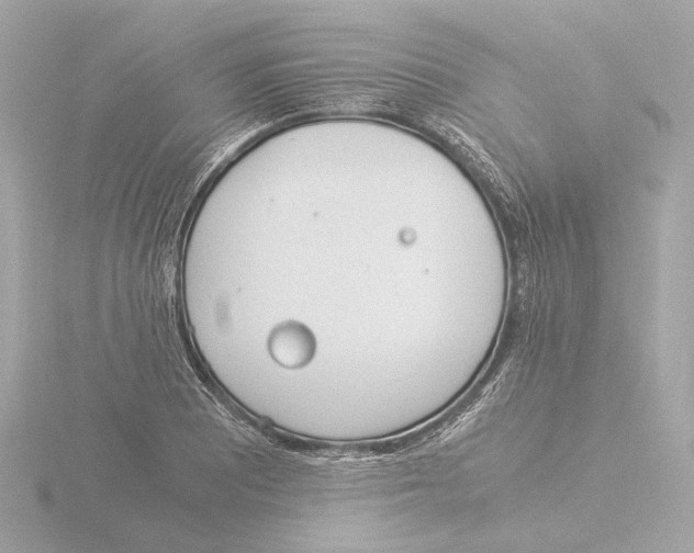 X0000116051081200912181246