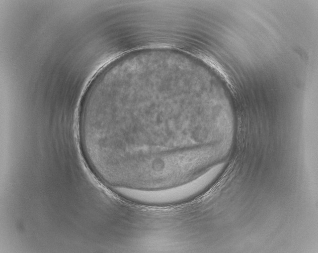 X0000116051088200912181246