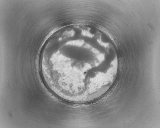 X0000116051091200912181246