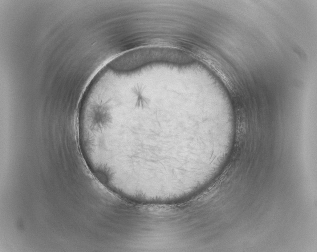 X0000116051092200912181246