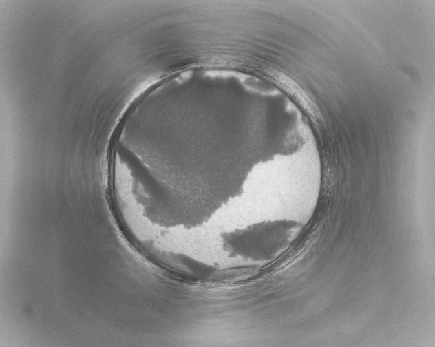 X0000116051095200912181246