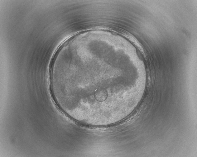 X0000116051096200912181246