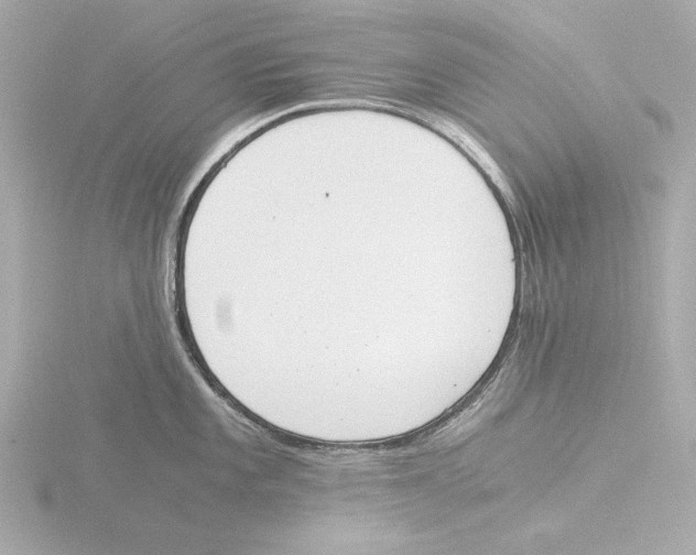 X0000116051101200912181246