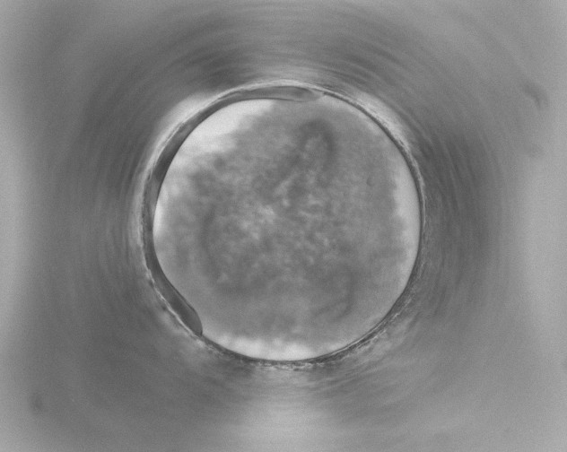 X0000116051104200912181246