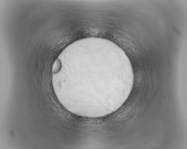 X0000116051105200912181245