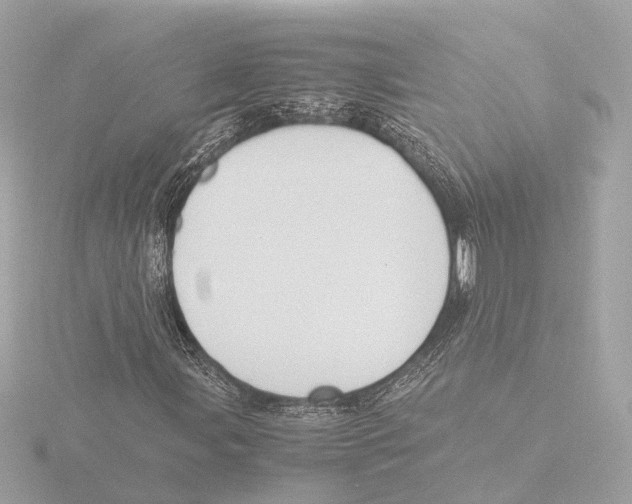 X0000116051107200912181245