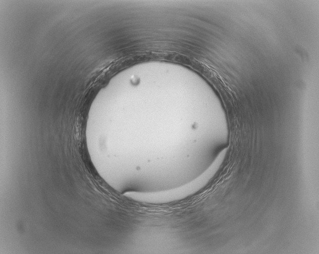 X0000116051110200912181245