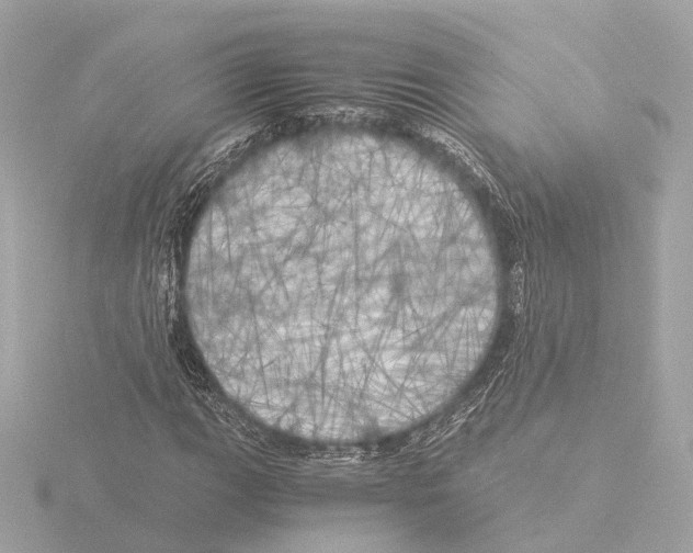 X0000116051111200912181245