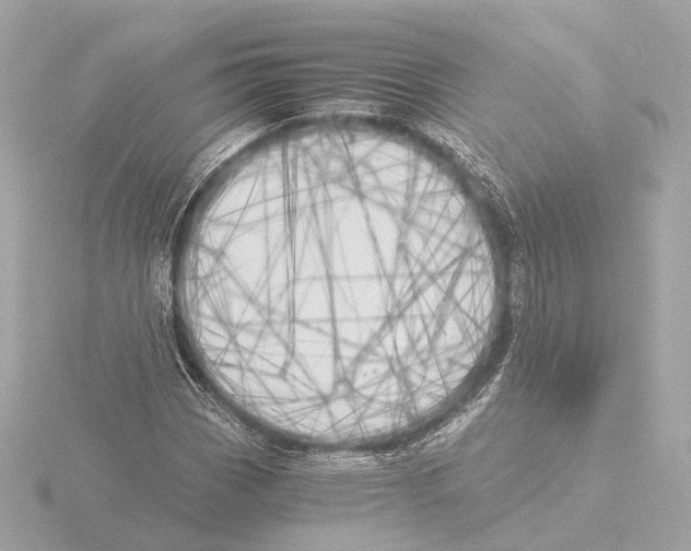 X0000116051113200912181245