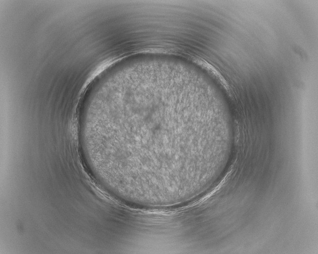 X0000116051114200912181245