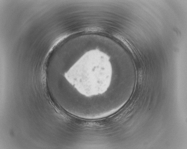 X0000116051115200912181245