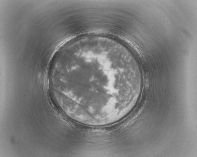 X0000116051117200912181245