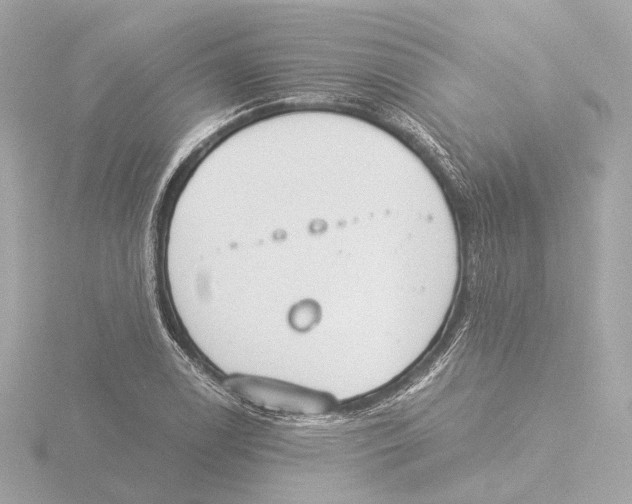 X0000116051122200912181246