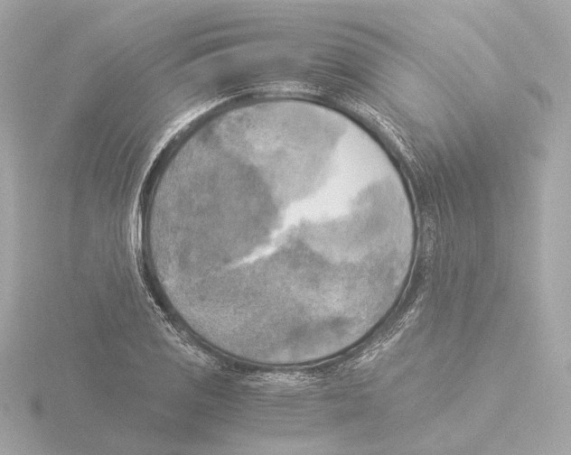 X0000116051125200912181246