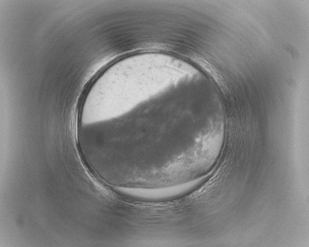 X0000116051127200912181246