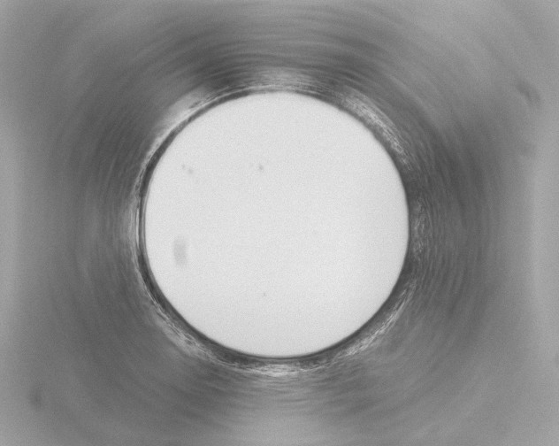 X0000116051130200912181246