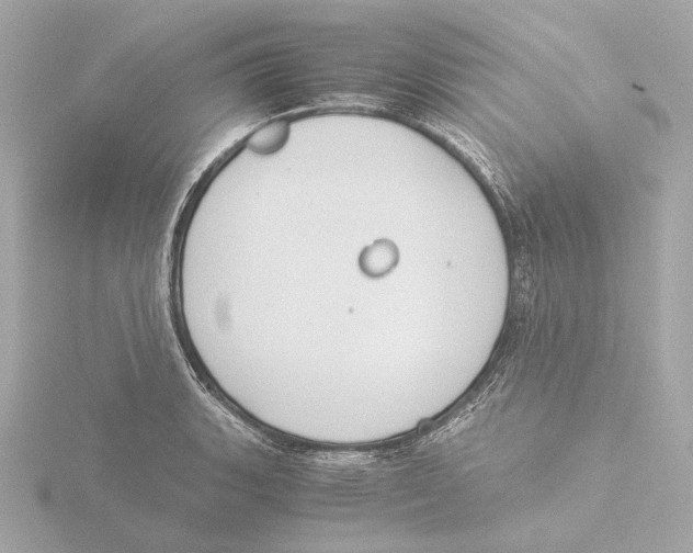 X0000116051135200912181246