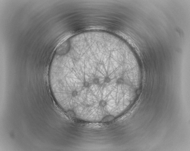 X0000116051137200912181246