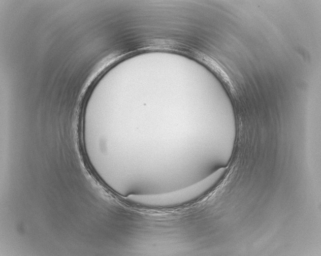 X0000116051138200912181246