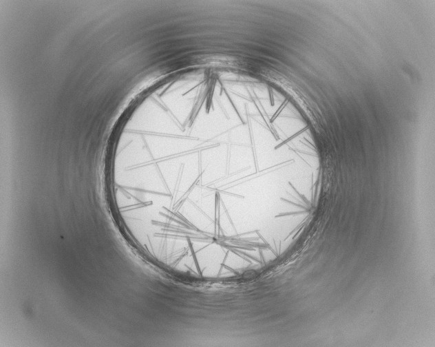 X0000116051139200912181246